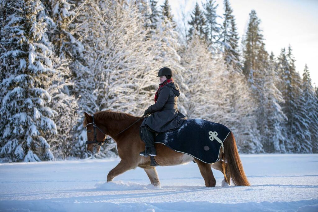 A woman rides a chestnut horse in knee deep snow