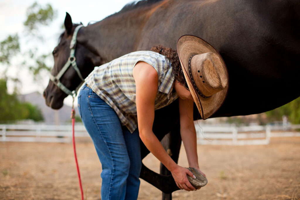 A woman in a plaid shirt, jeans, and a cowboy hat assesses the bottom of her bay horse's hoof
