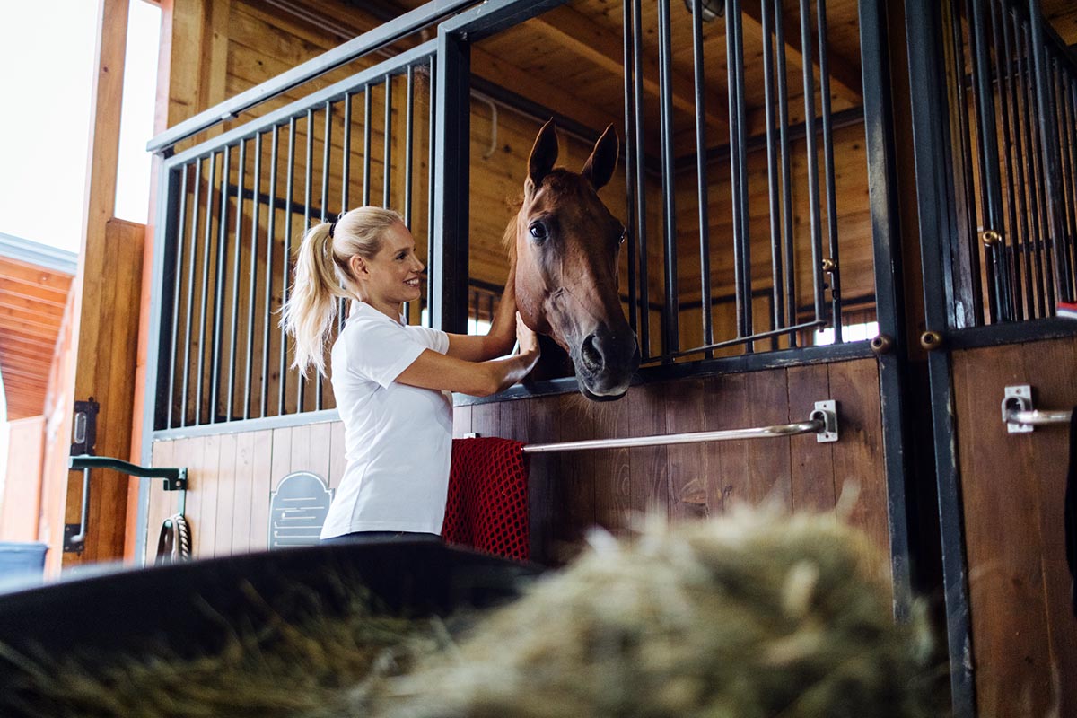 A woman wearing a white shirt pets her chestnut horse as he looks out of his stall.