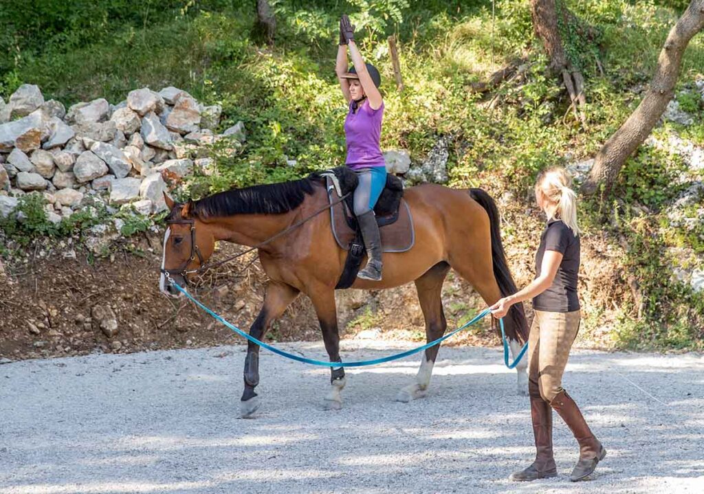 a novice rider on a bay horse gets a horseback riding lesson on a longe line so she can practice her position and balance