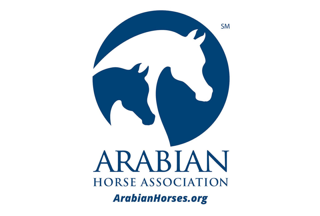 Arabian horse association blue logo on white background