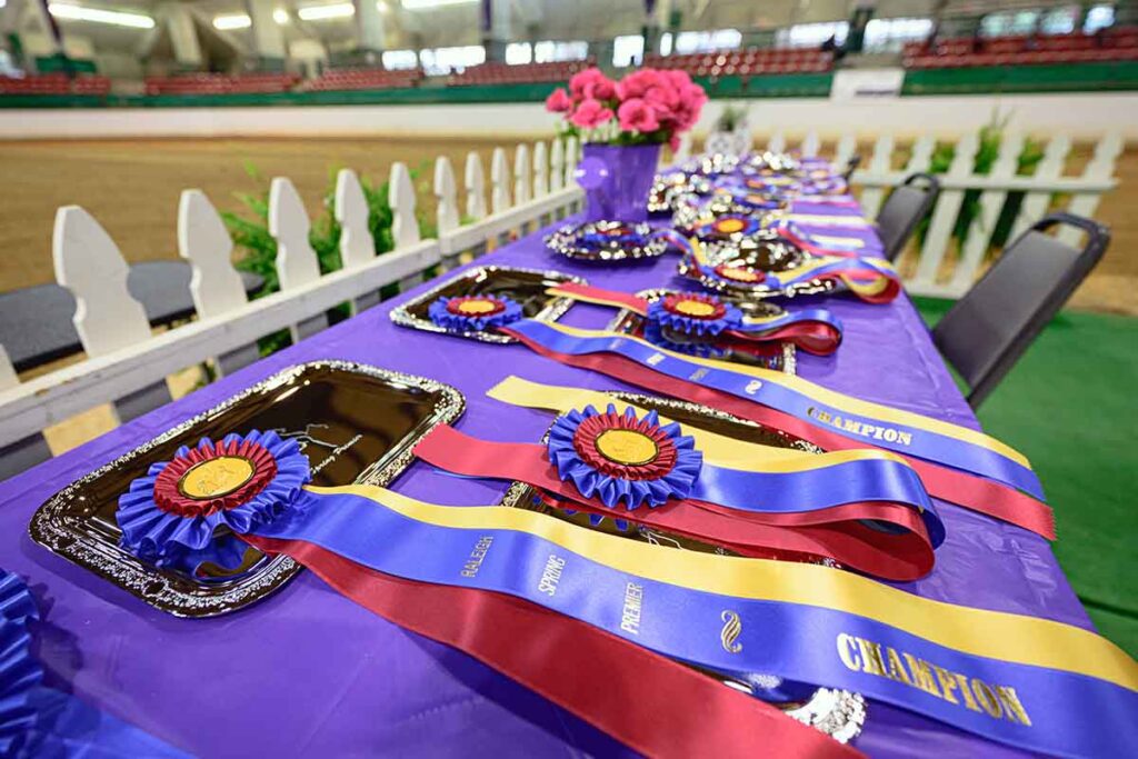 championship ribbons displayed at a rider's first horse show