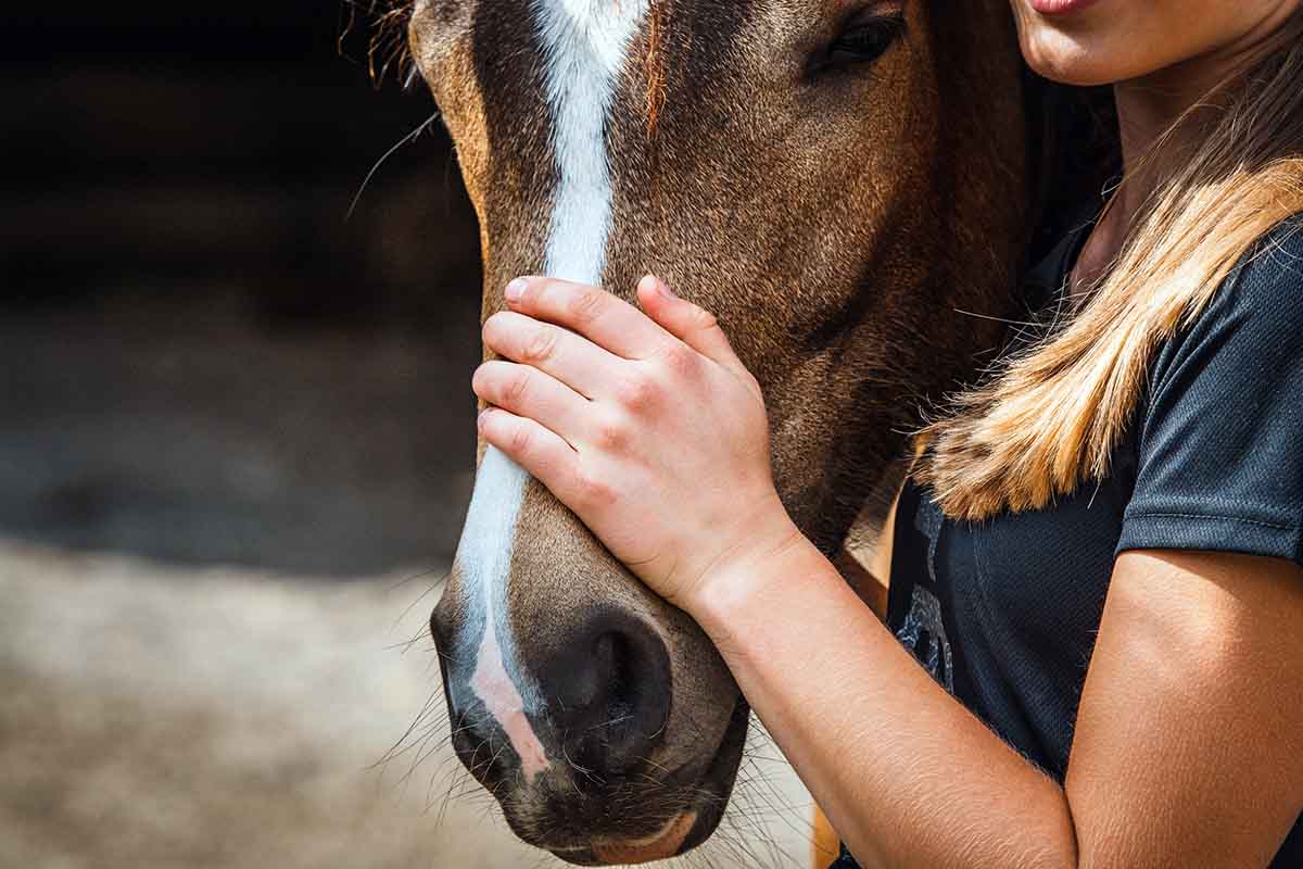 a close up photo of a young woman snuggling with her bay horse and petting his nose