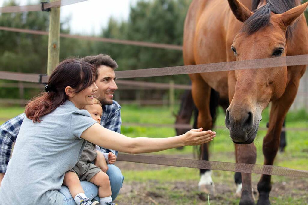A family of three looking for family horse activities happily pets a bay horse in a paddock