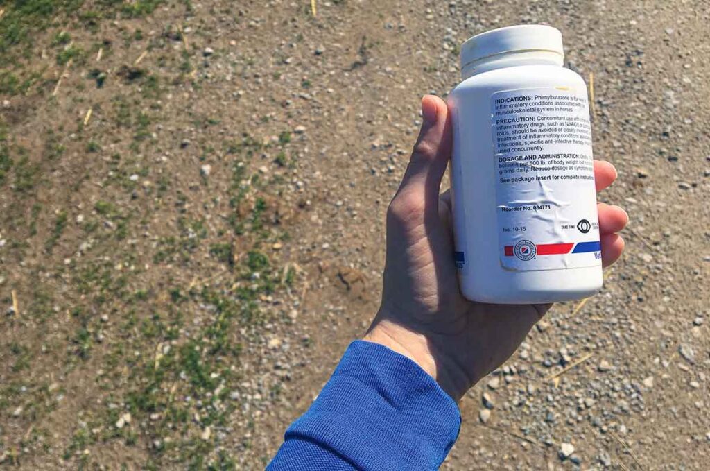 A horse owner looking for tips for using NSAIDs for horses safely reads the label on a bottle of NSAIDs