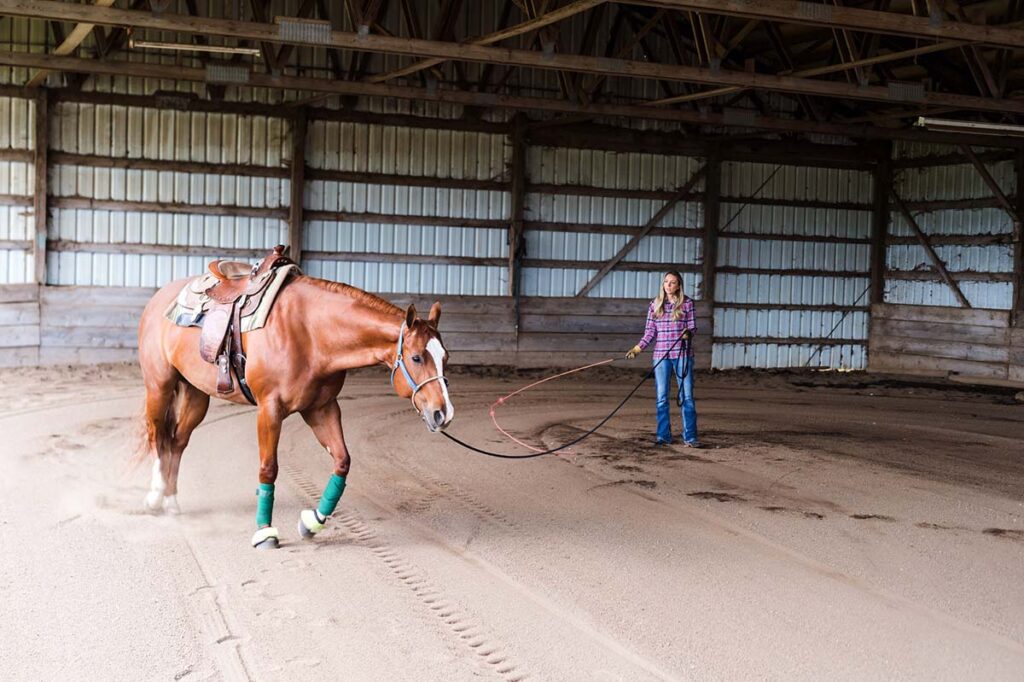 a woman in an indoor arena practices negative reinforcement horse training while exercising a horse on a longe line.