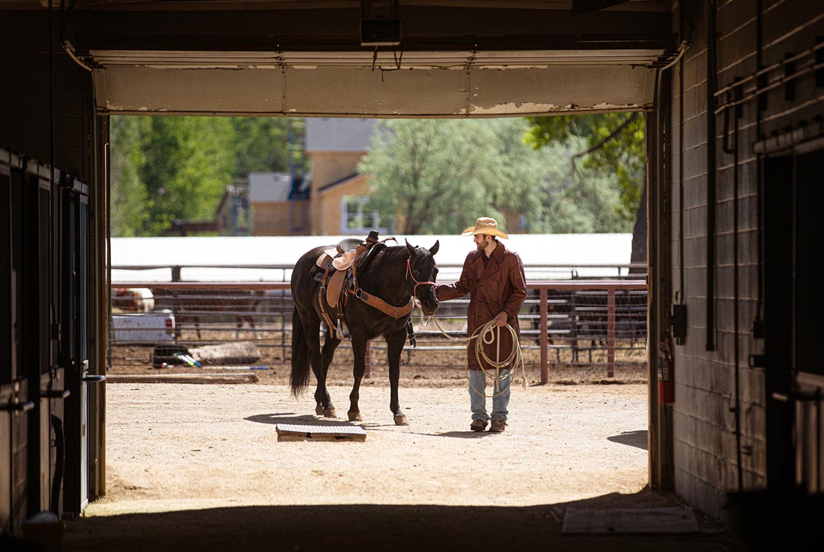 A cowboy riding a new horse for the first time leads the black gelding back into the barn