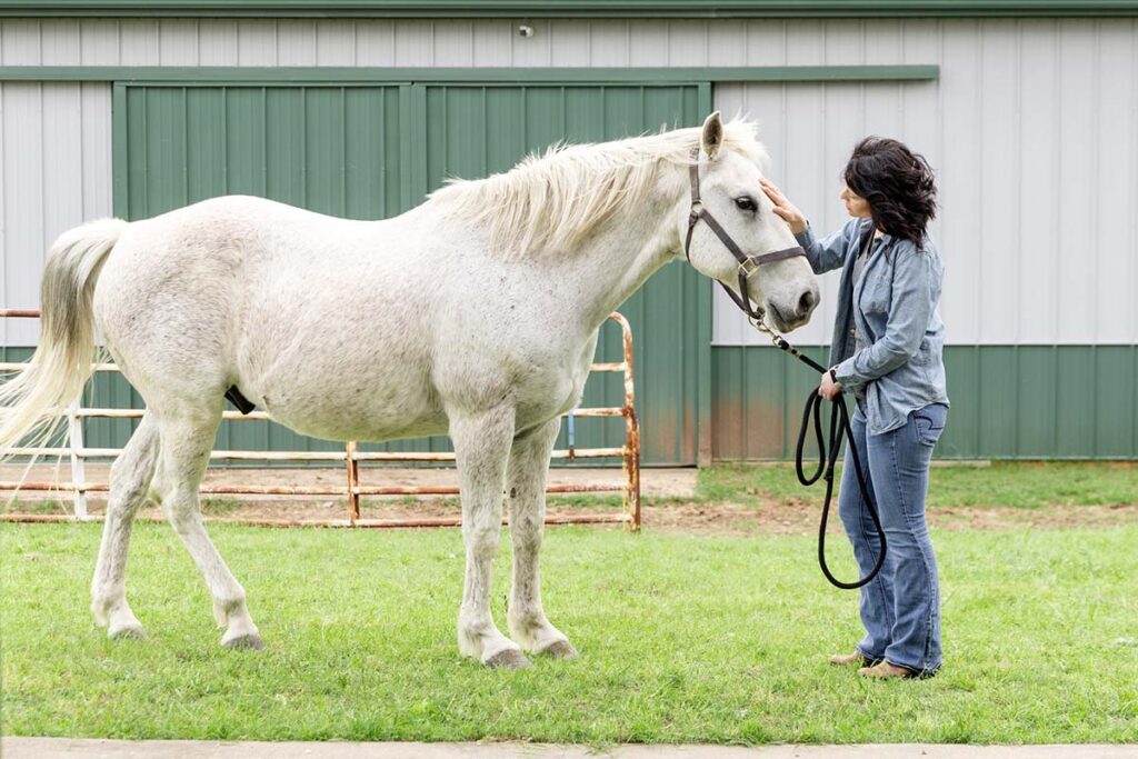 In the paddock just outside the barn, a concerned woman is trying to find out why her older gray horse is coughing.