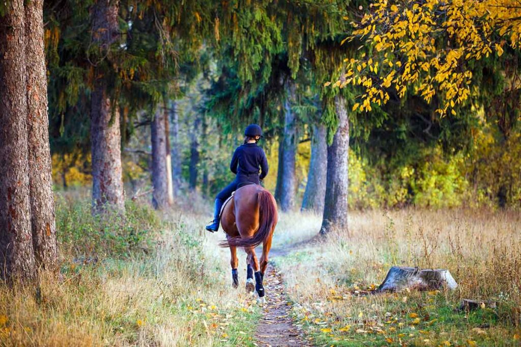 Photo of a young female rider walking down the trail on her chestnut horse on a fall day