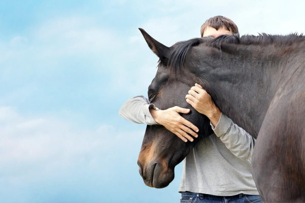 A man wonders "does my horse like me" while hugging his bay horse's neck against a blue sky background