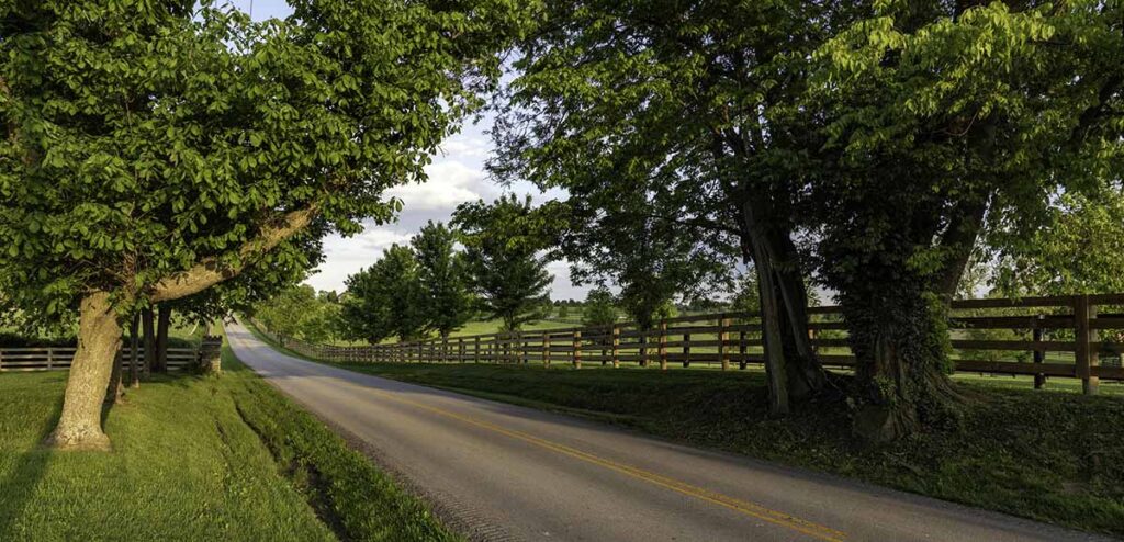 horse pastures along a road in kentucky