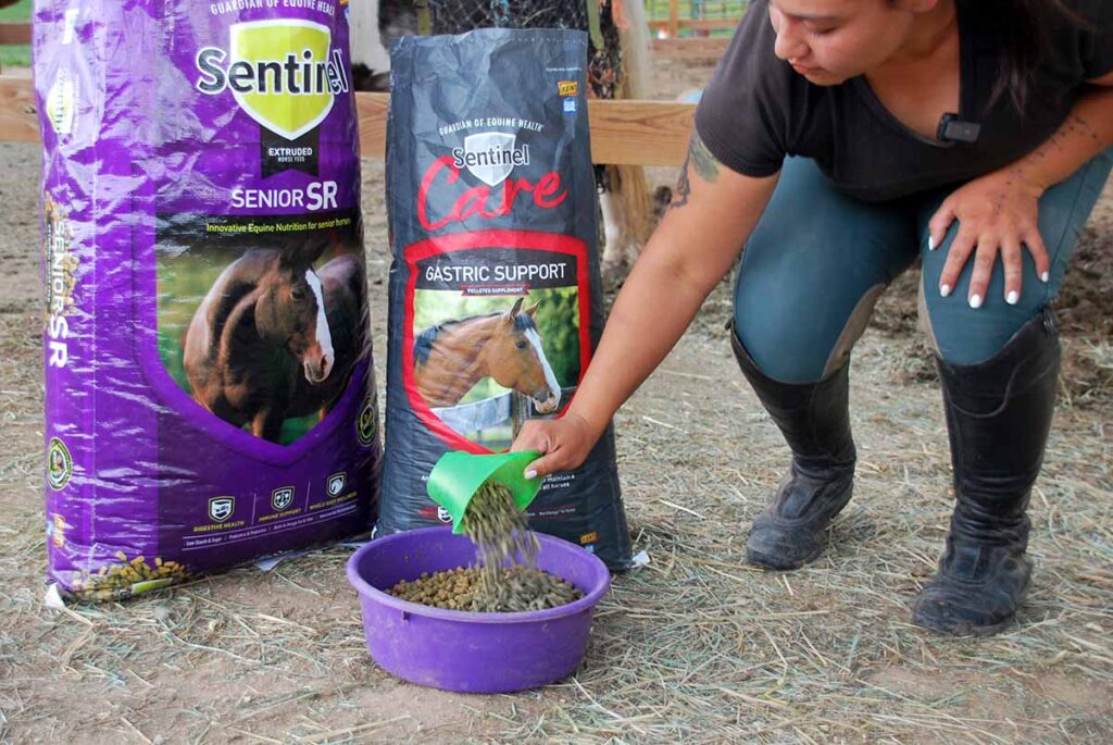 A woman top dresses a horse's feed tub with an equine supplement