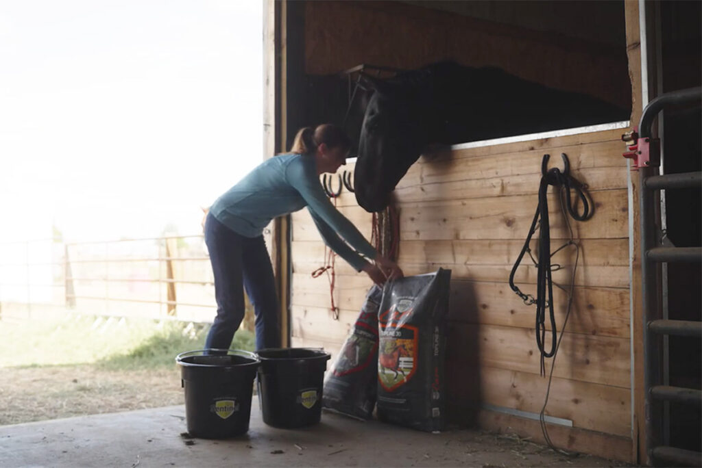 a horse owner opens a bag of ration balancer feed in front of a black horse's stall