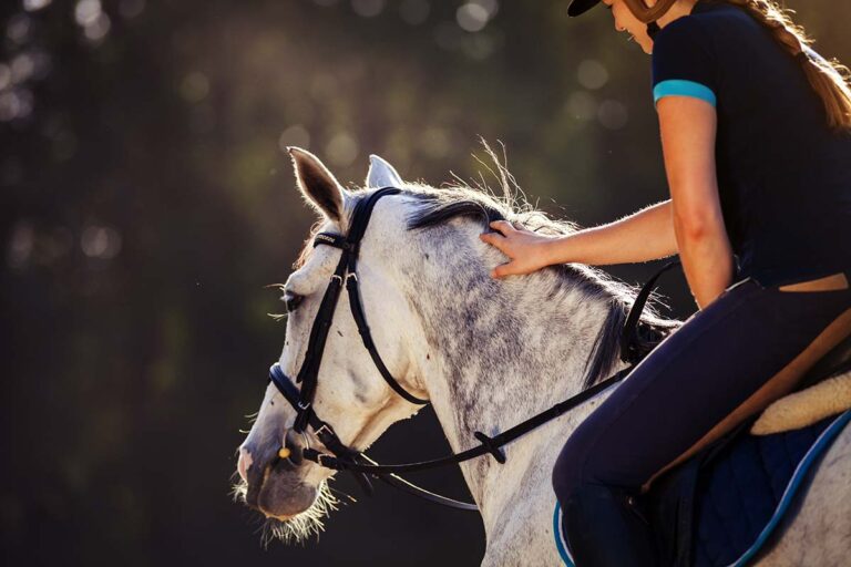 dapple gray riding horse in english tack with a female rider petting his neck