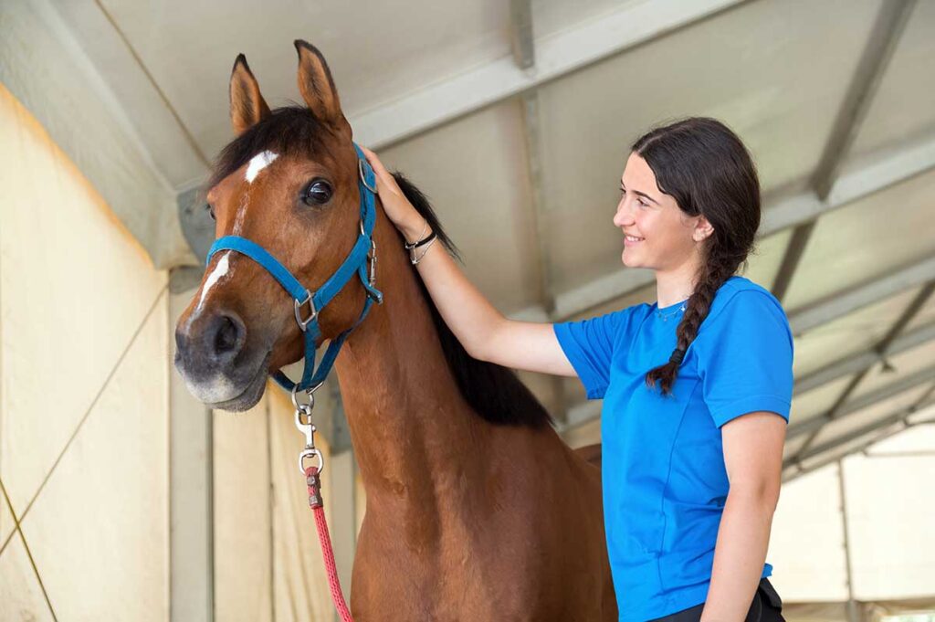 a young woman in a blue shirt pets a bay arabian horse standing the barn cross-ties