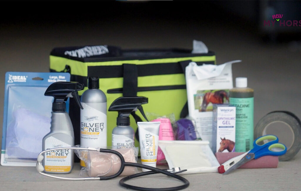 Here's what to do when trying to determine What to put in a horse first aid kit. This image shows equine wound care supplies, medications, bandages, wraps, and essentials like duct tape and a stethoscope.