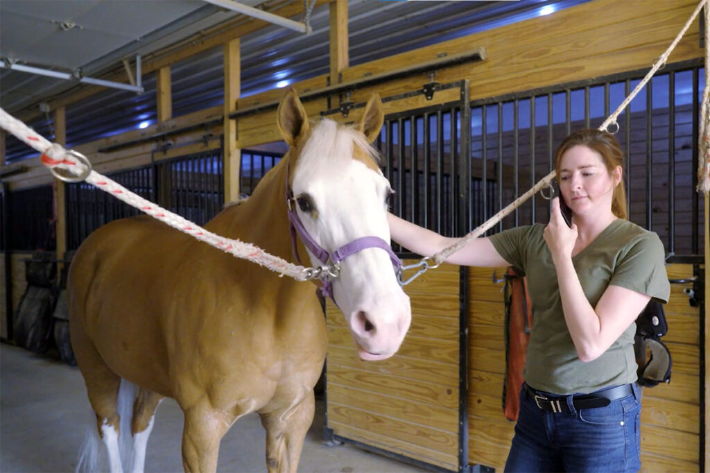 a female horse owner calls a veterinarian for her horse while finding a horse veterinarian.