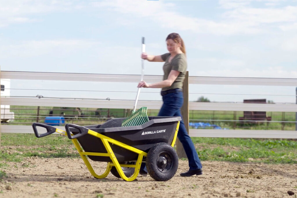 A woman demonstrates how to remove manure from horse pastures by picking up horse poop from a paddock with a pitchfork and putting it in a wheelbarrow