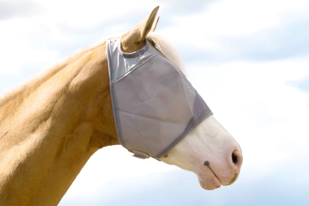 a palomino horse wearing a mesh fly mask against a blue sky backdrop from a video about how to put on a horse's fly mask