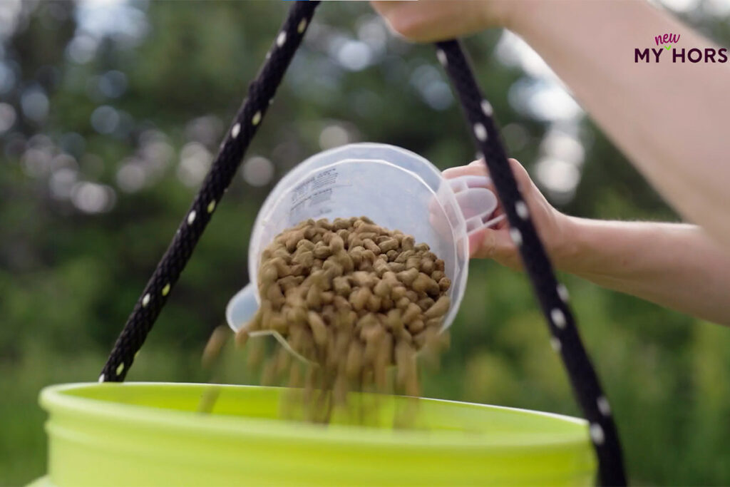 close-up photo of a hand pouring a scoop of horse feed into a lime green bucket