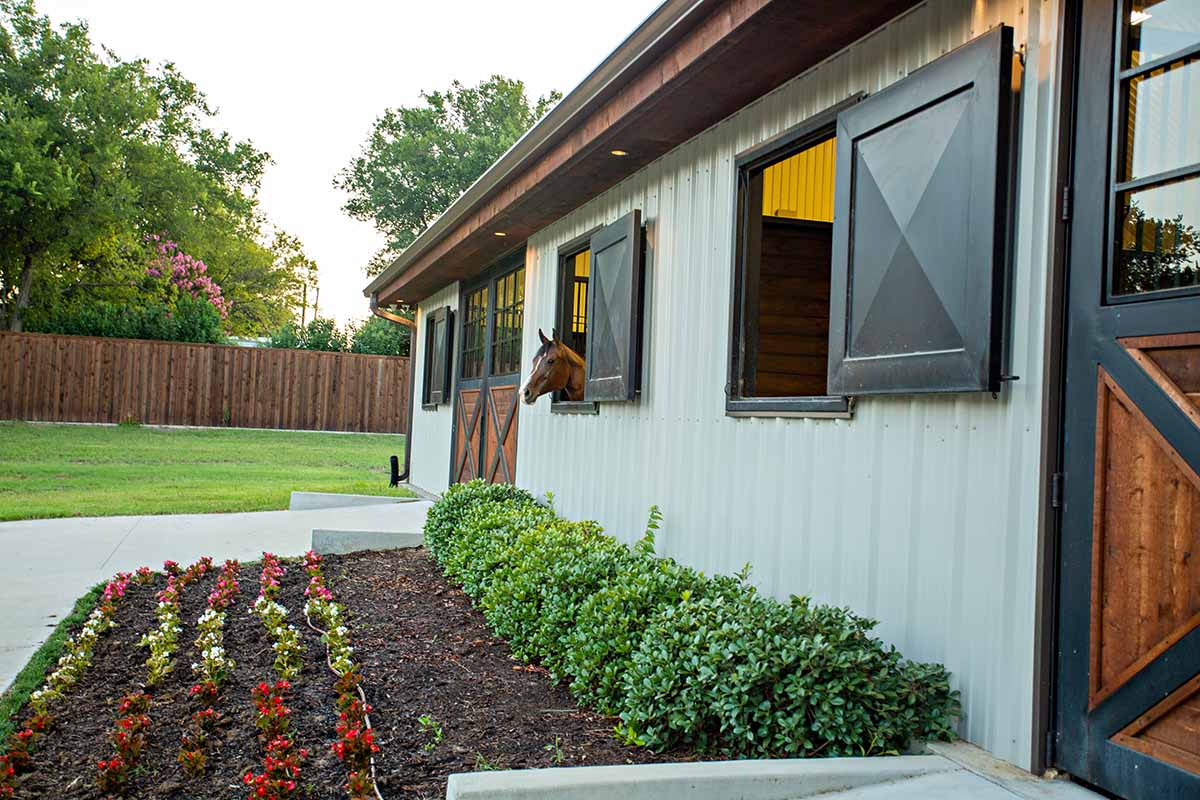 a well-manicured self-care horse boarding barn with a horse looking out the window