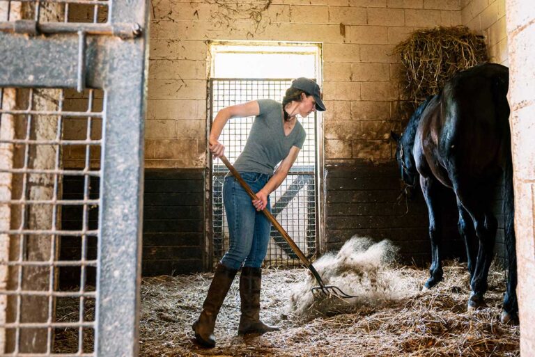 a woman in casual barn clothes mucks her black horse's stall