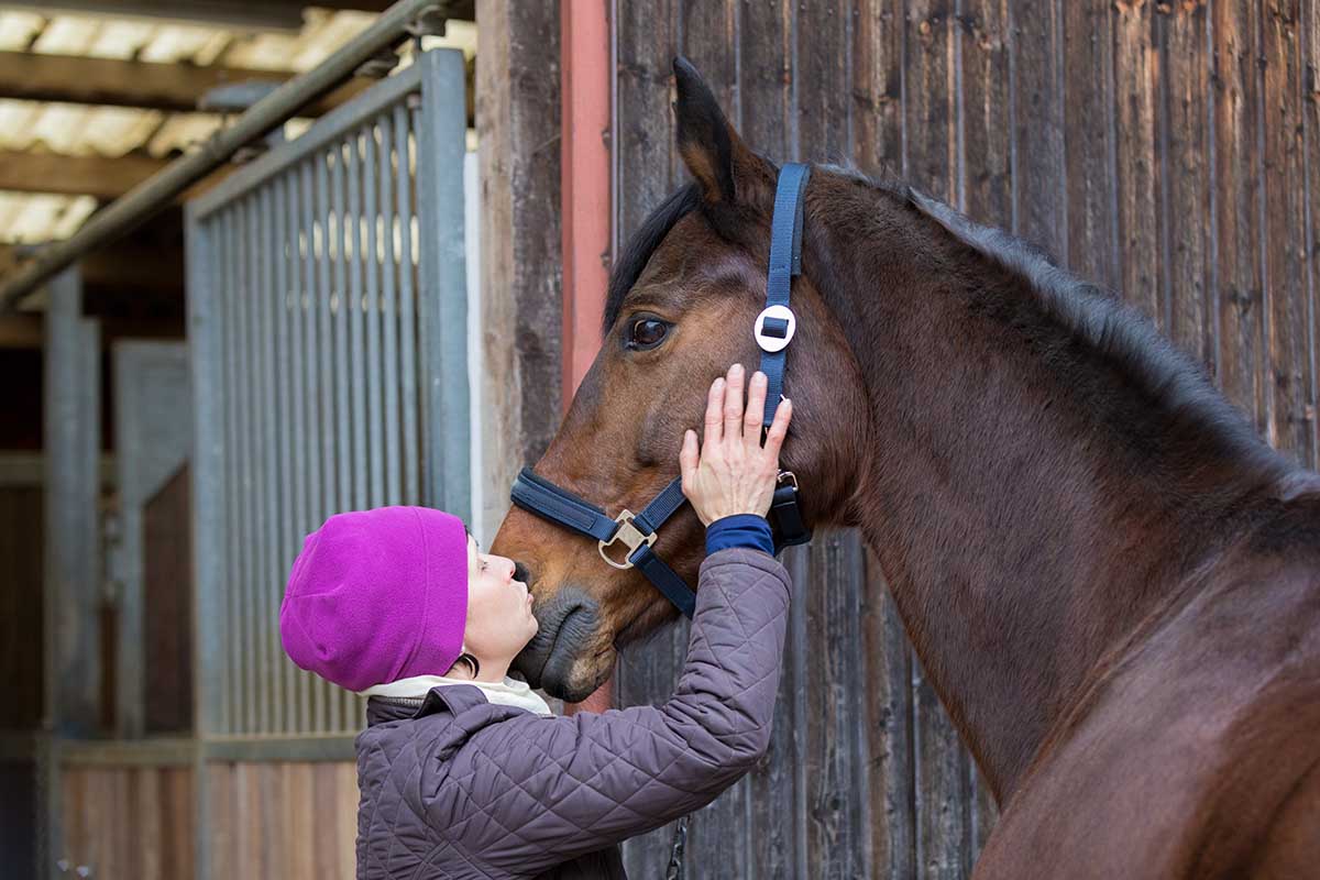 A woman wearing a beanie and winter coat kisses her bay horse on the nose in the barn in an article about what to do if you can’t keep your horse.