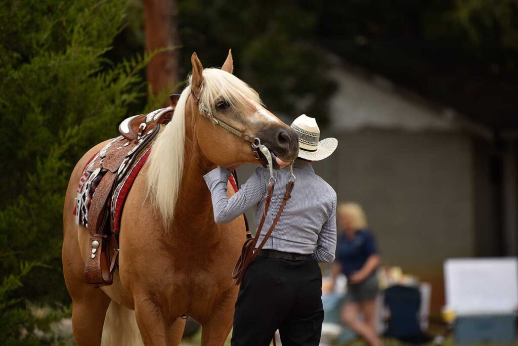 a woman in western attire stands next to her palomino horse at a horse show