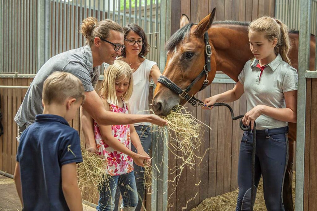 A family pets and feeds hay to a bay horse as a girl leads him out of the stall