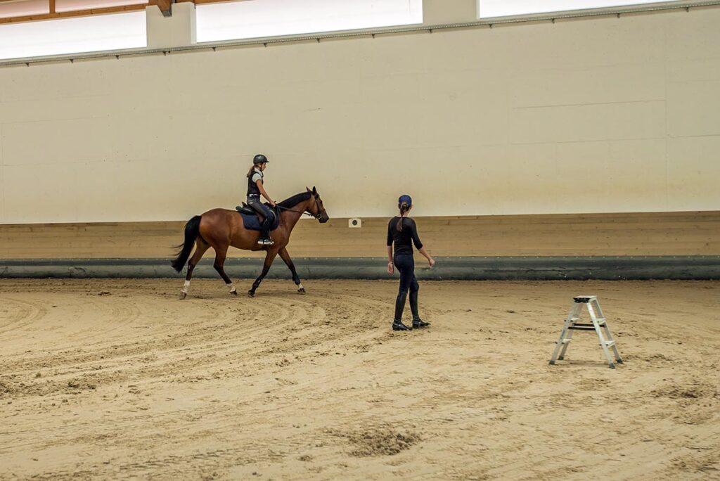 A girl trots a bay horse around an indoor arena during a riding lessons