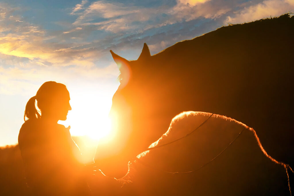 Silhouette of a woman and a horse with the sunset behind them in a touching moment together