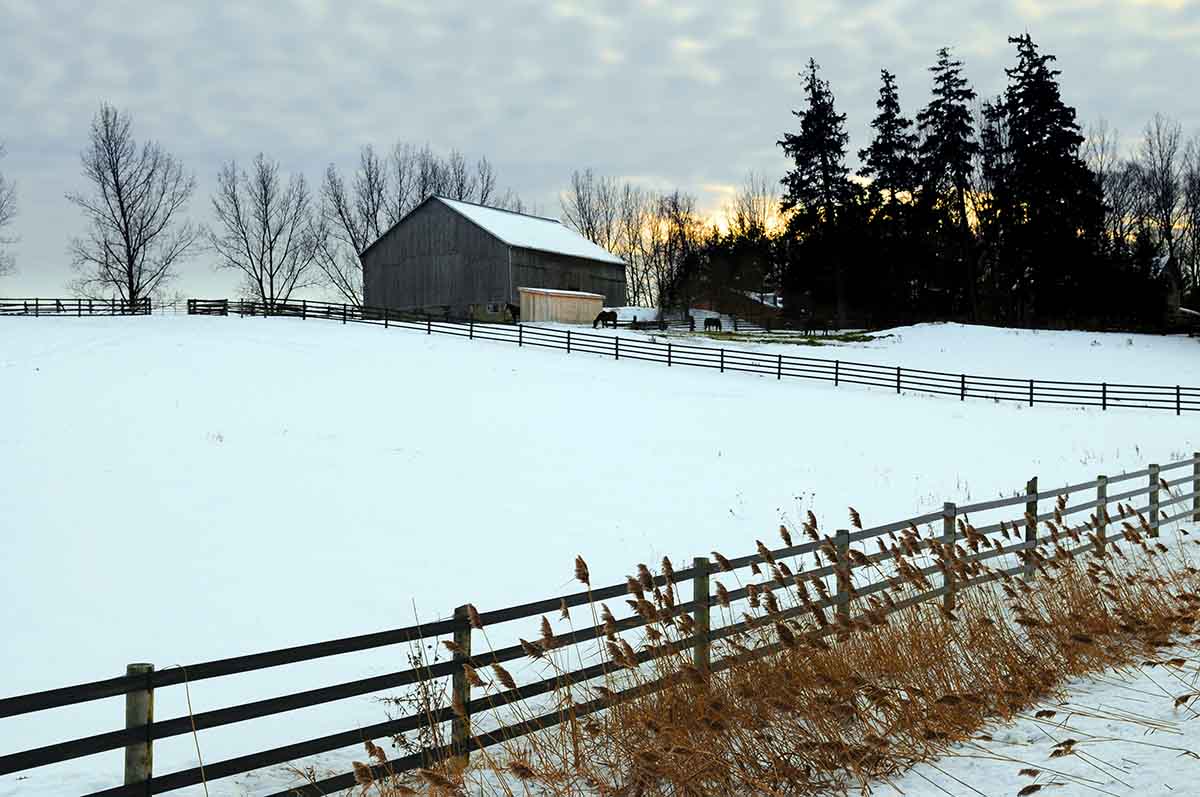 a horse farm with barn and paddocks in winter in the snow