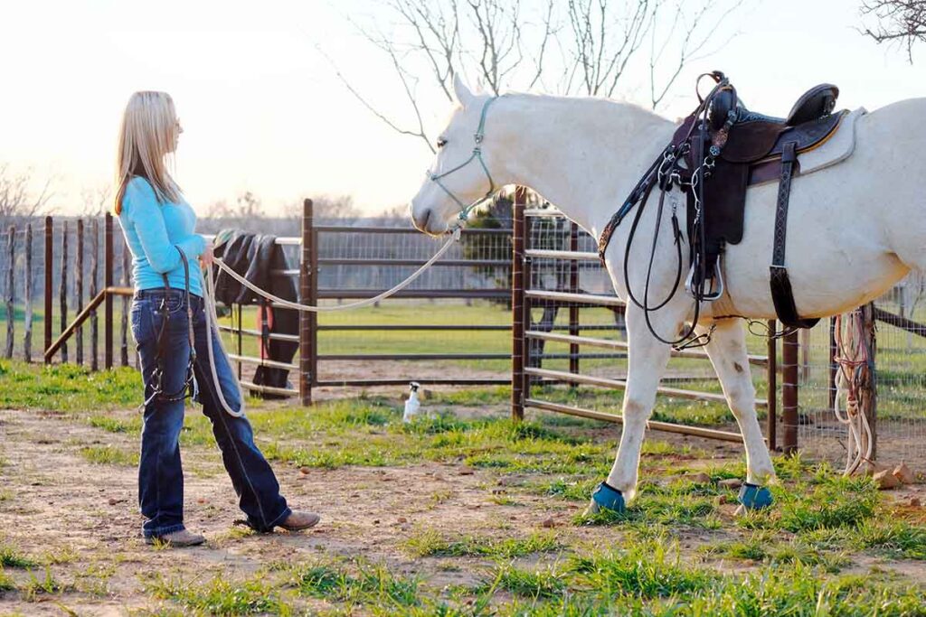 a woman in a blue shirt leads a gray horse in western tack