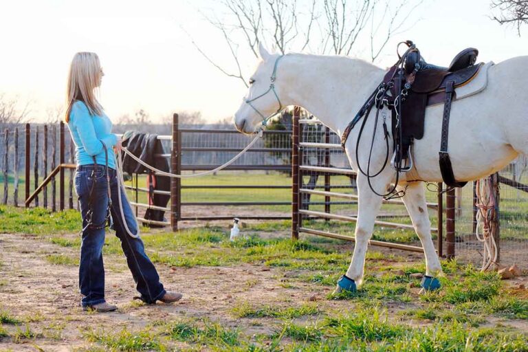 a woman in a blue shirt leads a gray horse in western tack