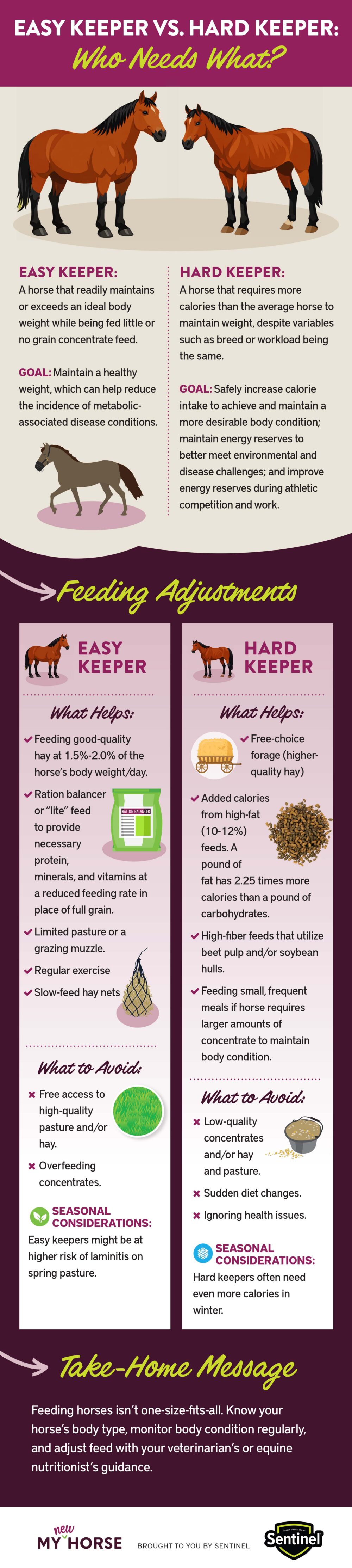 an infographic about how to feed easy keeping and hard keeping horses so they stay a healthy weight