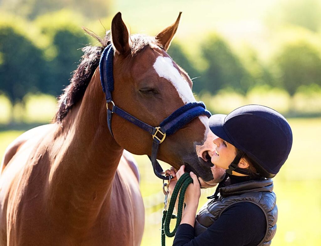 a rider wearing a helmet snuggles with her bay horse