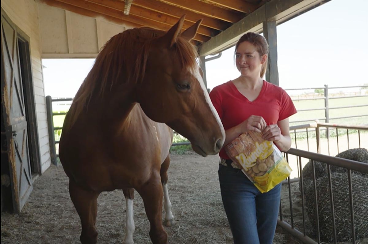 a woman in a red shirt opens a bag of horse treats to feed her chestnut horse