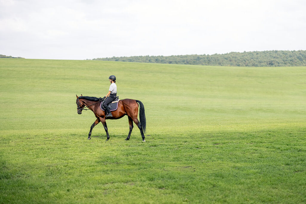A woman walks a bay thoroughbred horse across a grass field