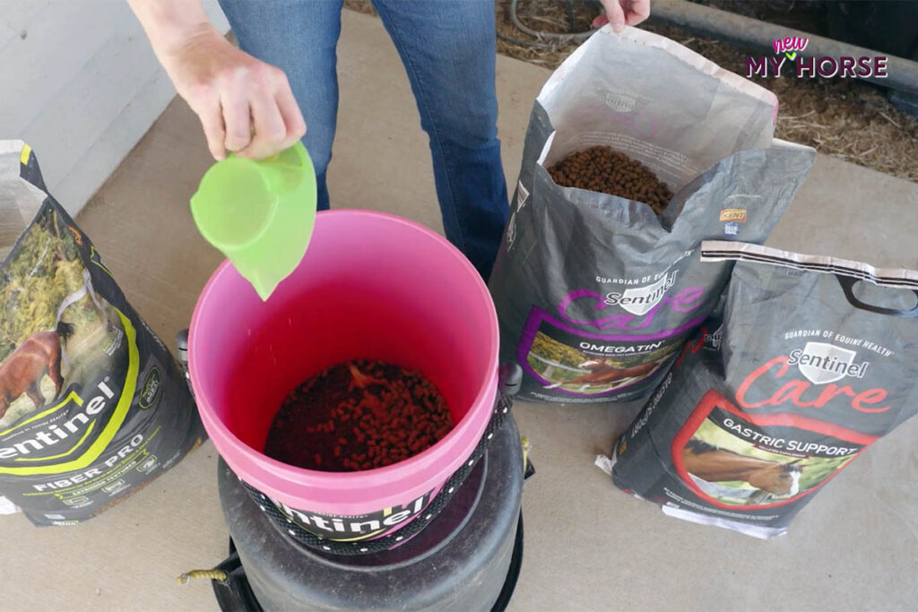 close-up photo of a person's hand pouring an equine supplement into their horse's bucket of feed