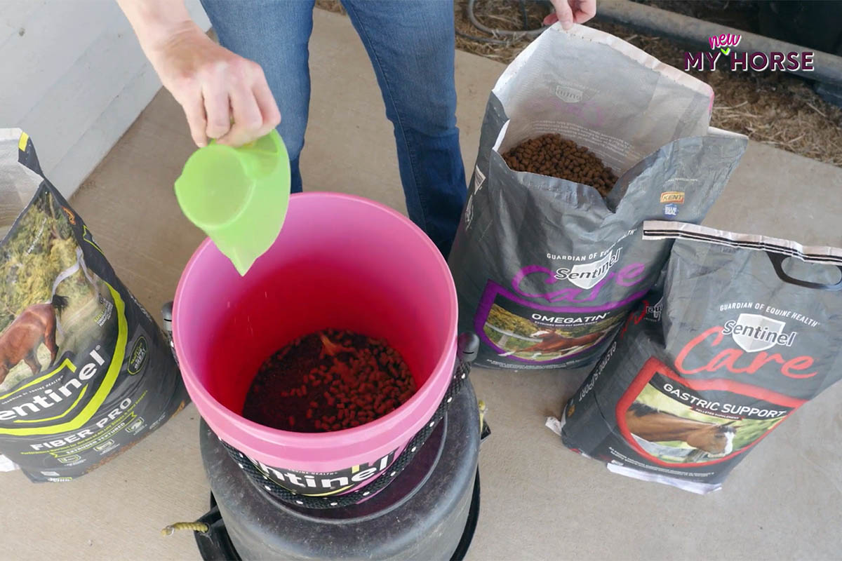 close-up photo of a person's hand pouring an equine supplement into their horse's bucket of feed
