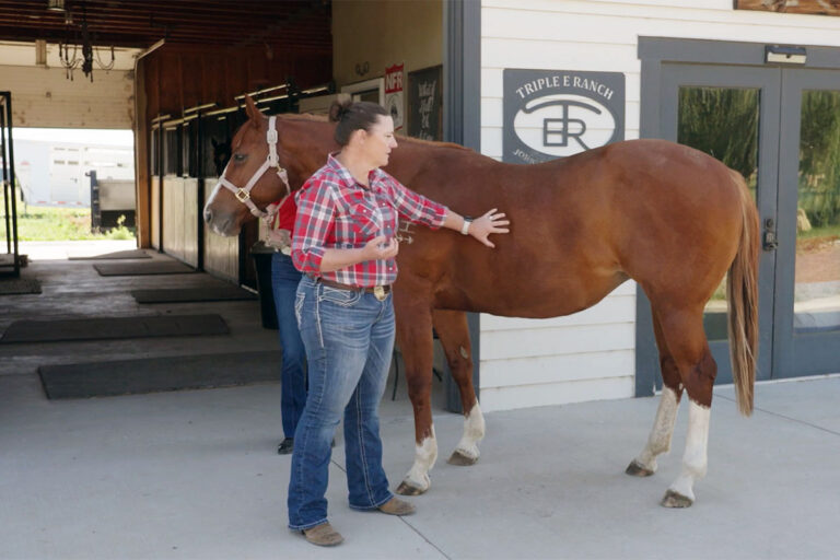How to Assess Your Horse’s Body Condition (Video)