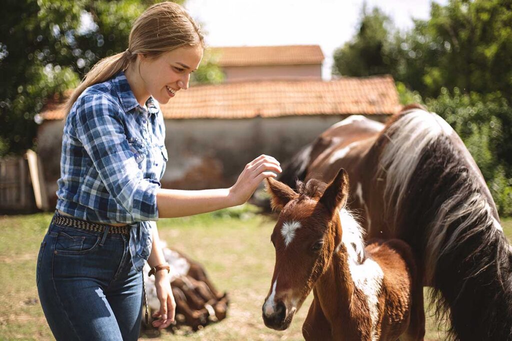 a young woman pets a paint horse foal