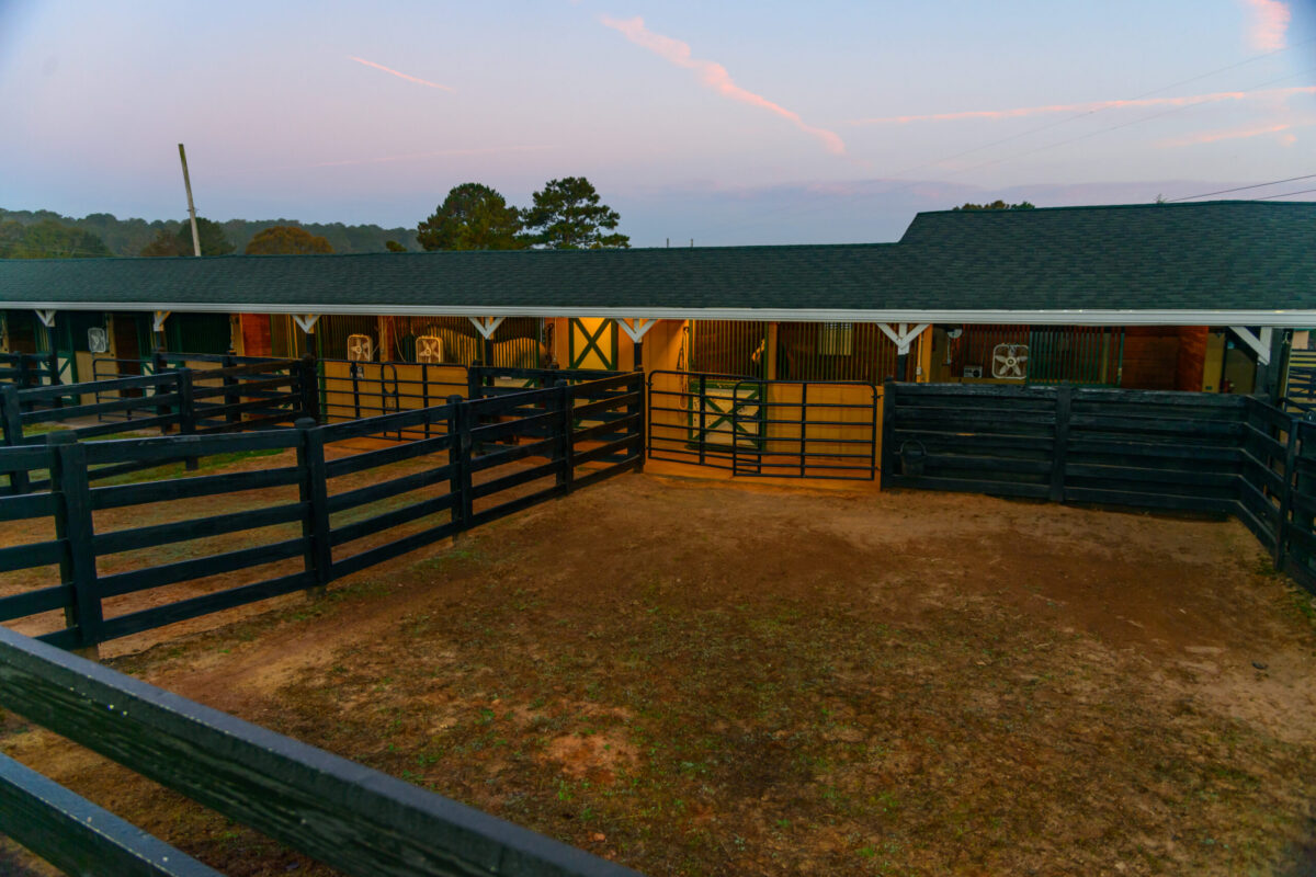 A horse farm with runs outside the stalls at dawn or dusk