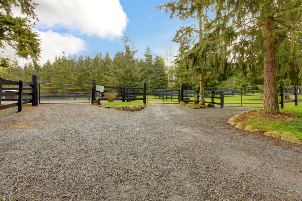 a gravel path leading to the gates of three horse paddocks that are safe and tidy